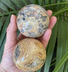 Crazy Lace Agate Sphere, 60-64mm