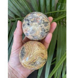 Crazy Lace Agate Sphere, 60-64mm