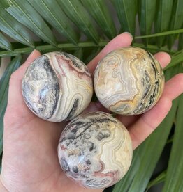 Crazy Lace Agate Sphere, 50-54mm