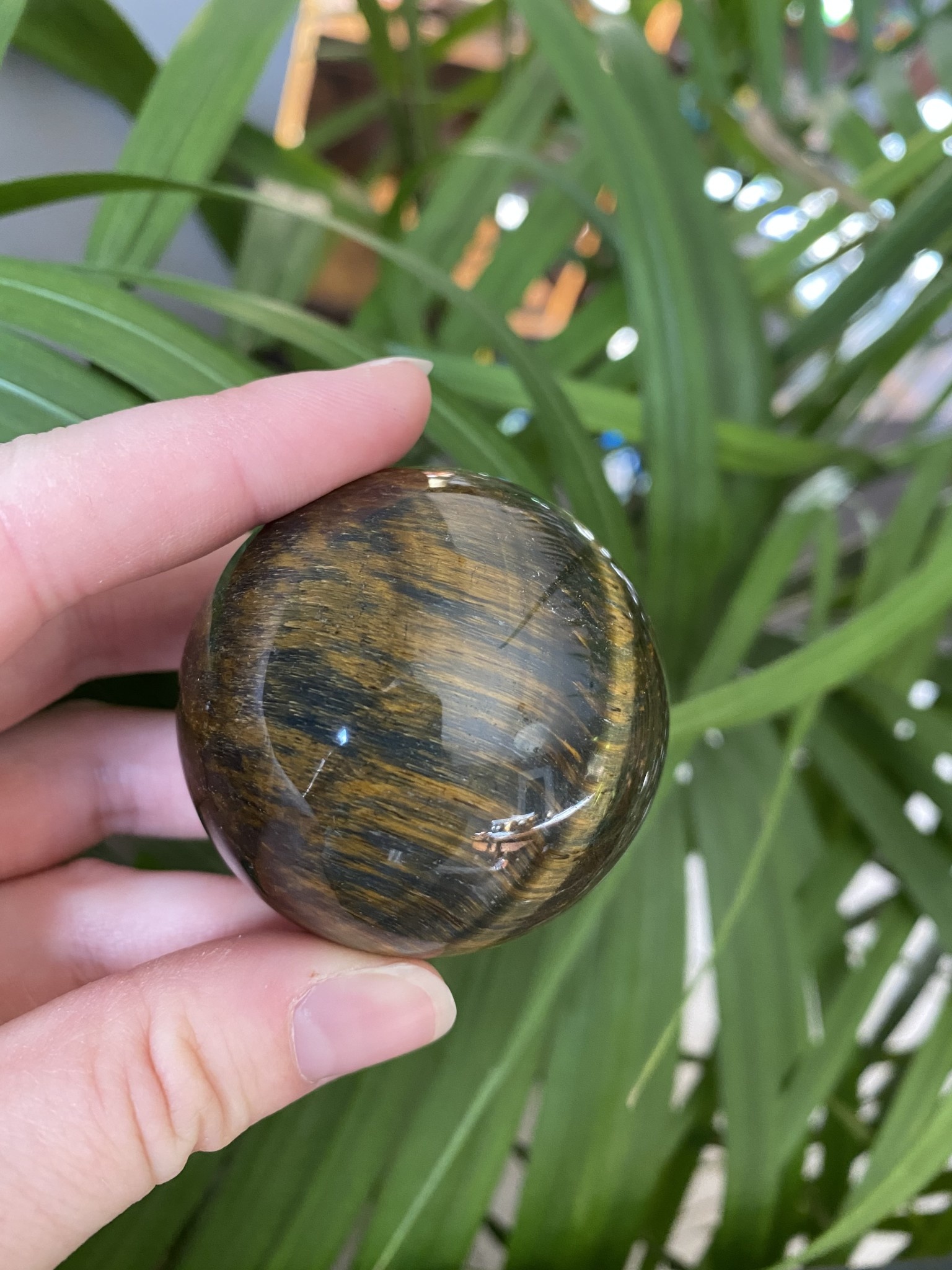 Blue Tiger Eye, Blue With Gold Tiger Eye Sphere, 5054mm The Raw Rock