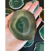 Agate Slice Size #3 Green