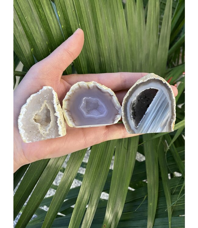 Natural Agate Geode Cut Base Size 1 [1-99gr]