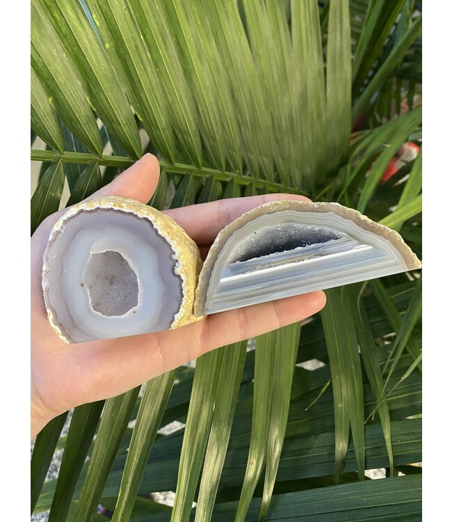 Natural Agate Geode Cut Base Size 2 [100-199gr]