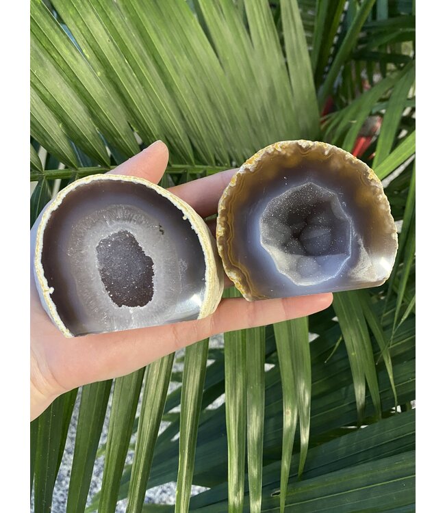 Natural Agate Geode Cut Base Size 3 [200-299gr]