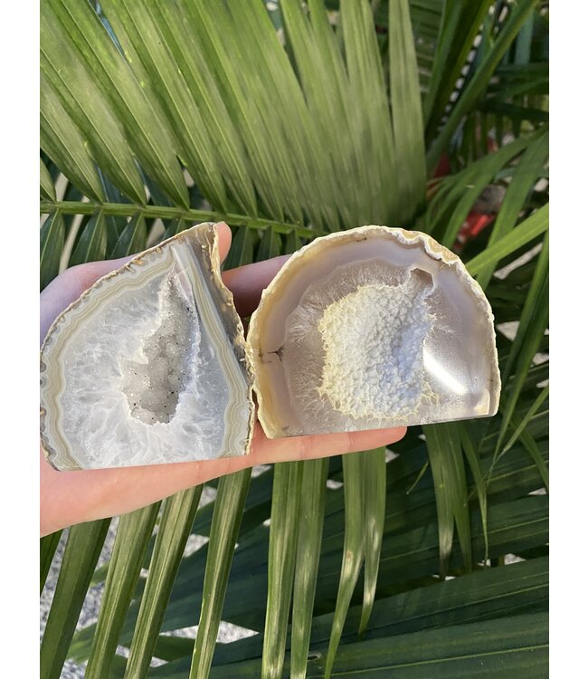 Natural Agate Geode Cut Base Size 3 [200-299gr]