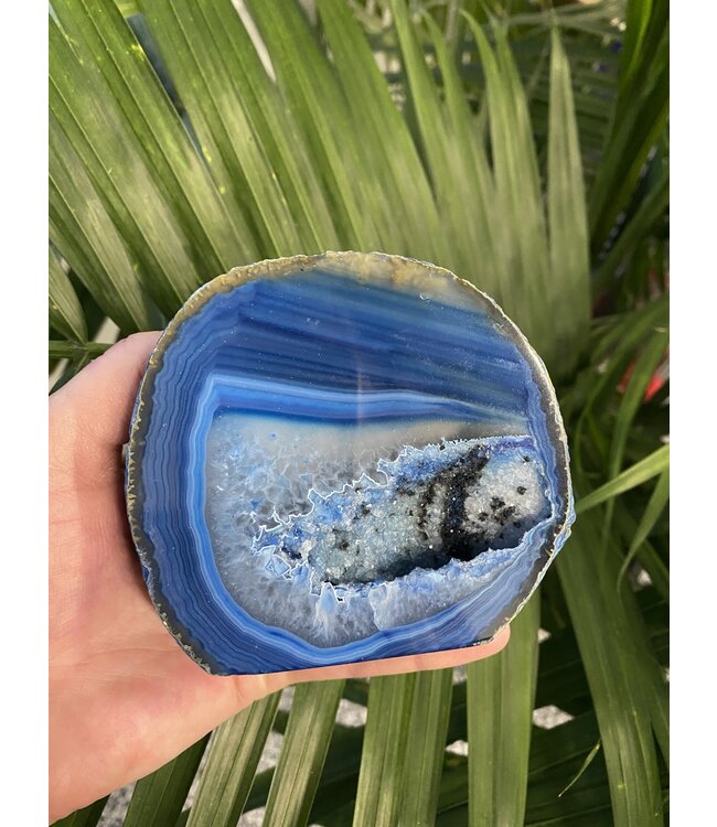 Blue Agate Geode Cut Base Size 5 [400-499gr]