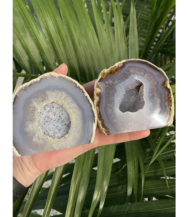 Natural Agate Geode Cut Base Size 5 [400-499gr]