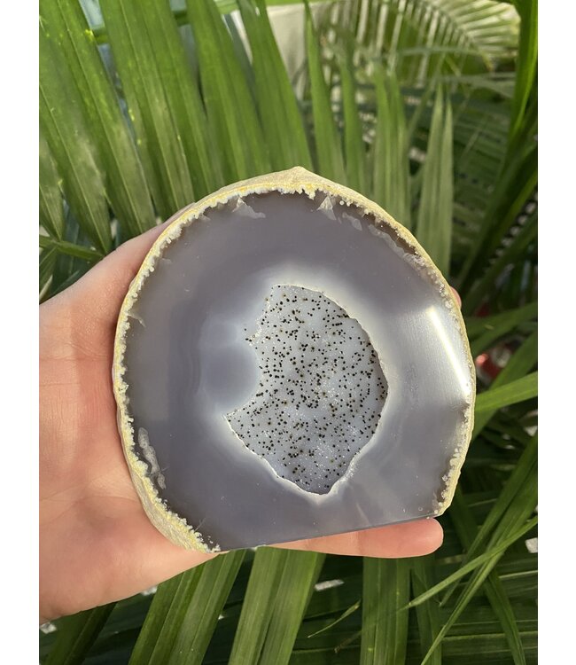 Natural Agate Geode Cut Base Size 6 [500-599gr]