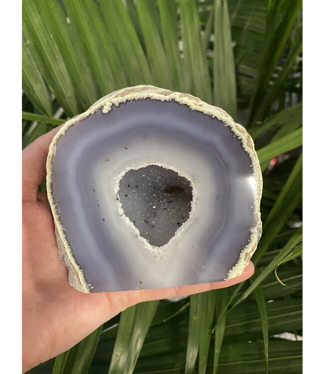 Natural Agate Geode Cut Base Size 7 [600-699gr]