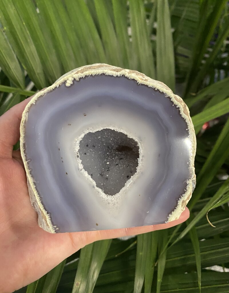 Natural Agate Geode Cut Base Size 7 [600-699gr]