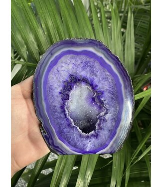 Purple Agate Geode Cut Base Size 11 [1000-1099gr]