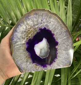 Purple Agate Geode Cut Base Size 14 [1300-1399gr]