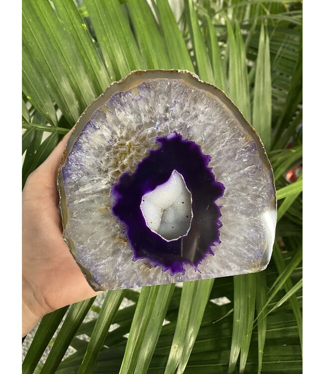 Purple Agate Geode Cut Base Size 14 [1300-1399gr]
