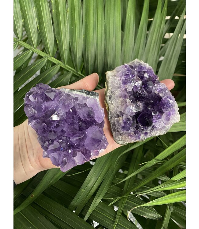 Amethyst Druzy Clusters Size 4 [300-399gr]