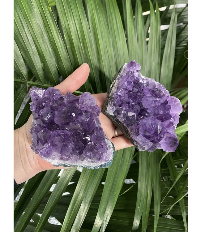 Amethyst Druzy Clusters Size 5 [400-499gr]