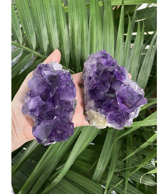 Amethyst Druzy Clusters Size 6 [500-599gr]