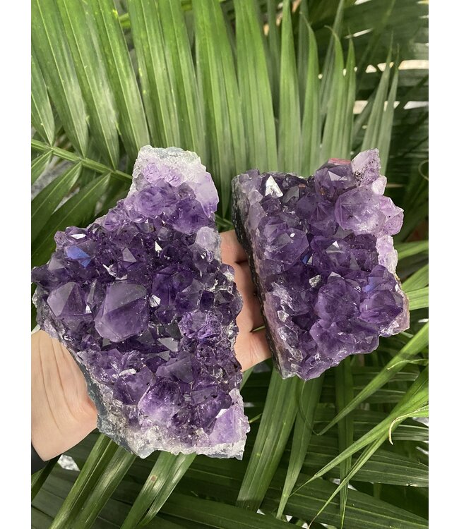 Amethyst Druzy Clusters Size 7 [600-699gr]
