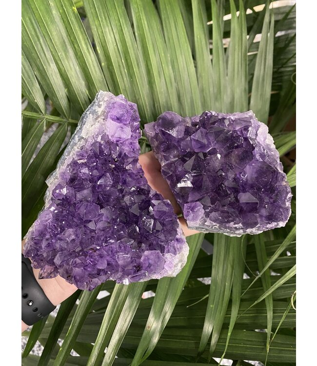 Amethyst Druzy Clusters Size 7 [600-699gr]