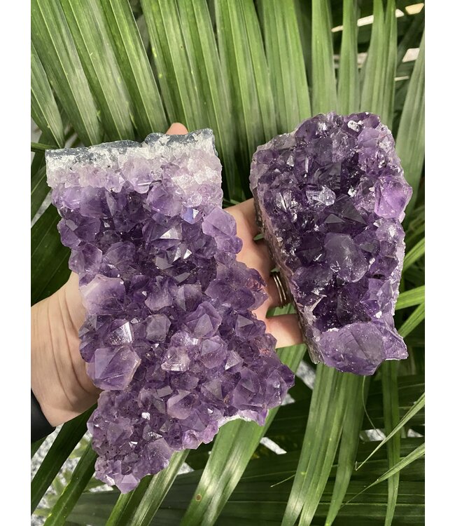 Amethyst Druzy Clusters Size 7 [600-699gr]