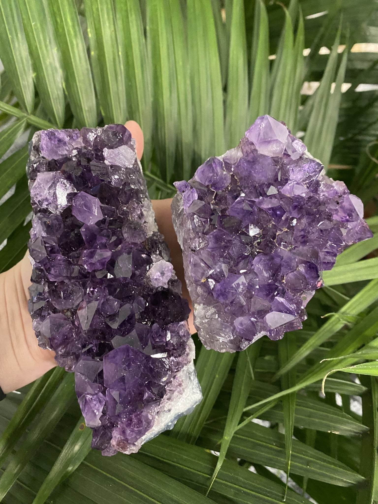 Amethyst Druzy Clusters Size 7 [600-699gr]