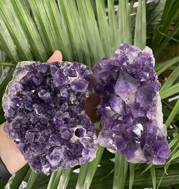 Amethyst Druzy Clusters Size 8 [700-799gr]