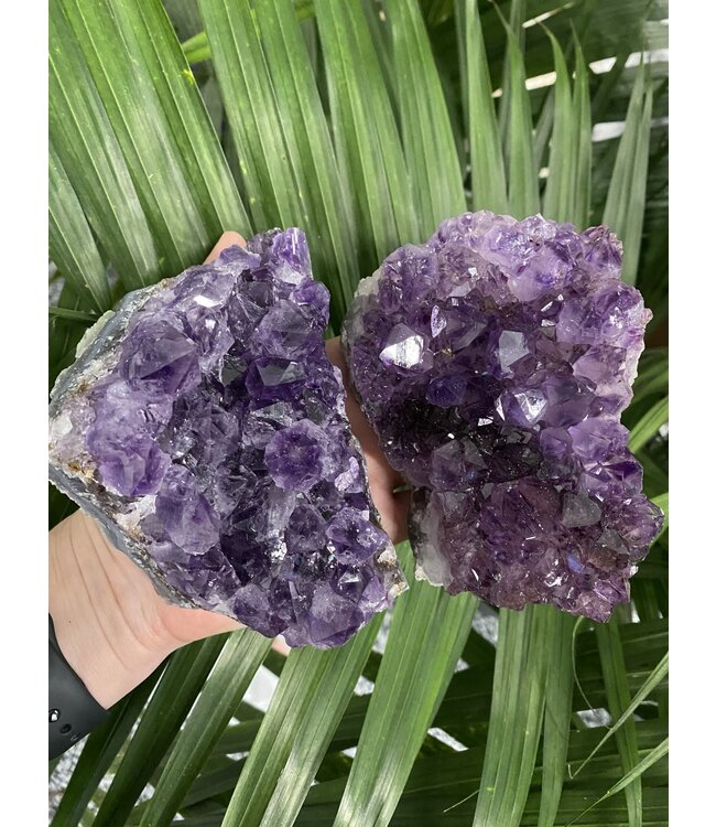 Amethyst Druzy Clusters Size 8 [700-799gr]