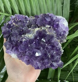 Amethyst Druzy Clusters Size 16 [1500-1599gr]