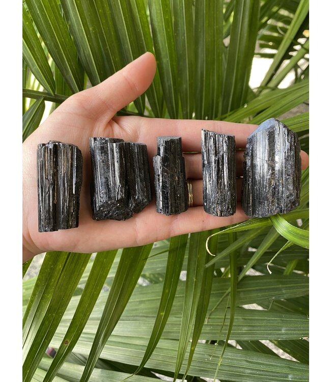 Raw Black Tourmaline Size Small [25-49gr]