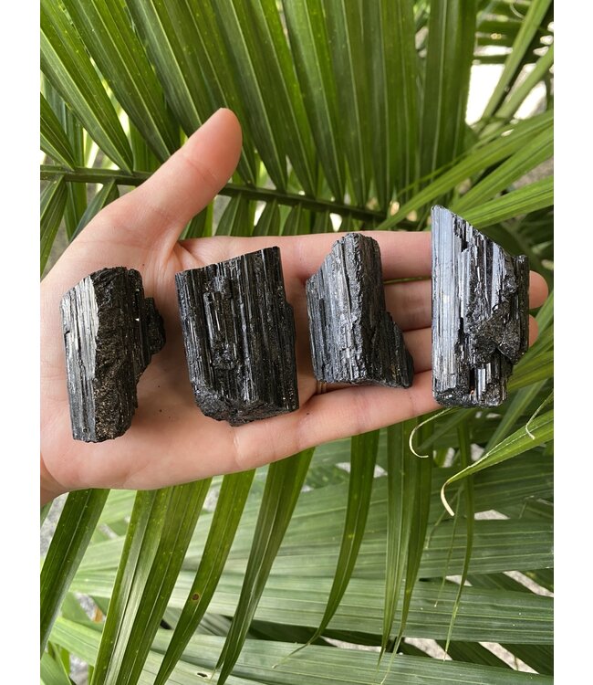 Raw Black Tourmaline Size Medium [50-74gr]
