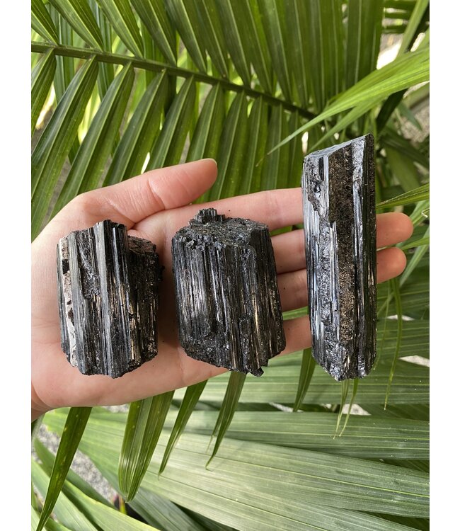 Raw Black Tourmaline Size X-Large [100-124gr]