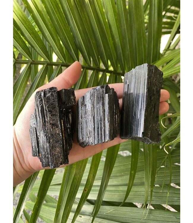 Raw Black Tourmaline Size Jumbo-Plus [175-199gr]