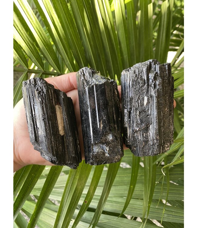 Raw Black Tourmaline Size Giant-Plus [225-249gr]