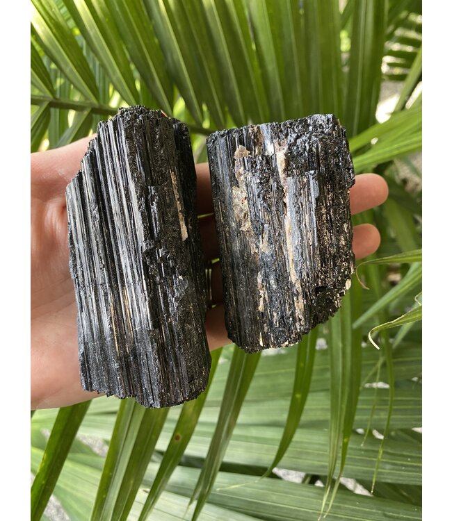 Raw Black Tourmaline Size Dino [250-274gr]