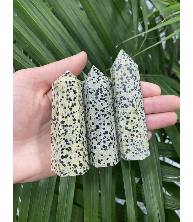 Dalmatian Jasper Point, Size Large [75-99gr]