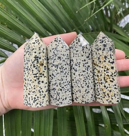 Dalmatian Jasper Point, Size X-Large [100-124gr]