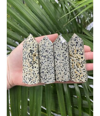 Dalmatian Jasper Point, Size X-Large [100-124gr]