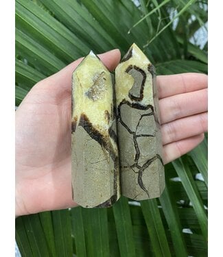 Septarian Point, Size XX-Large [125-149gr]