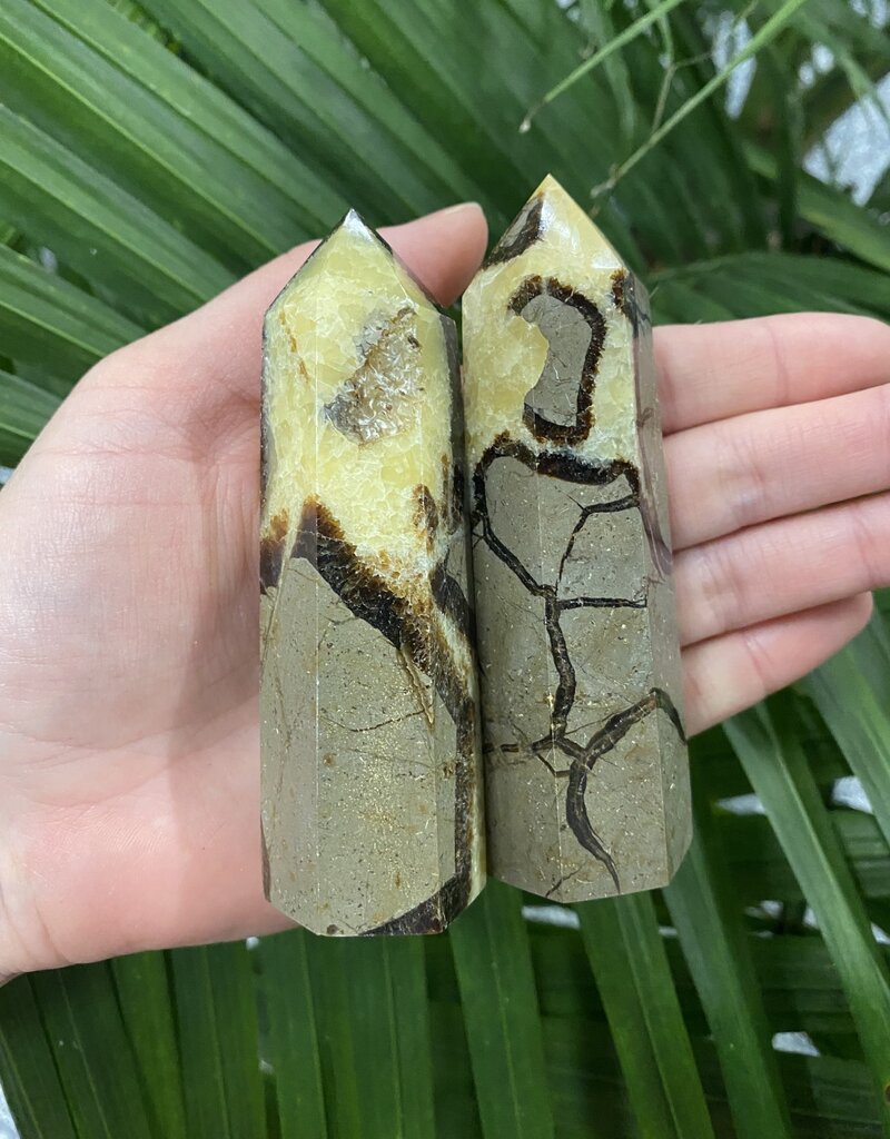 Septarian Point, Size XX-Large [125-149gr]
