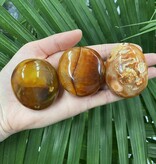 Carnelian Palm Stone, Size Small [75-99gr]