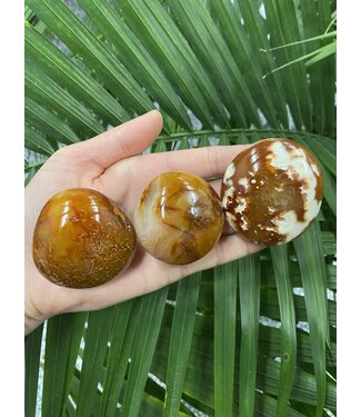 Carnelian Palm Stone, Size Medium [100-124gr]