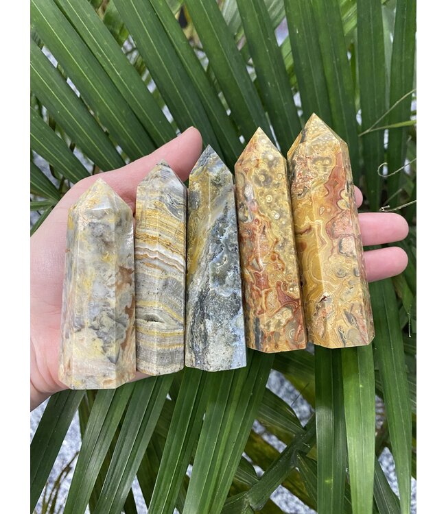 Crazy Lace Agate Point, Size Large [75-99gr]