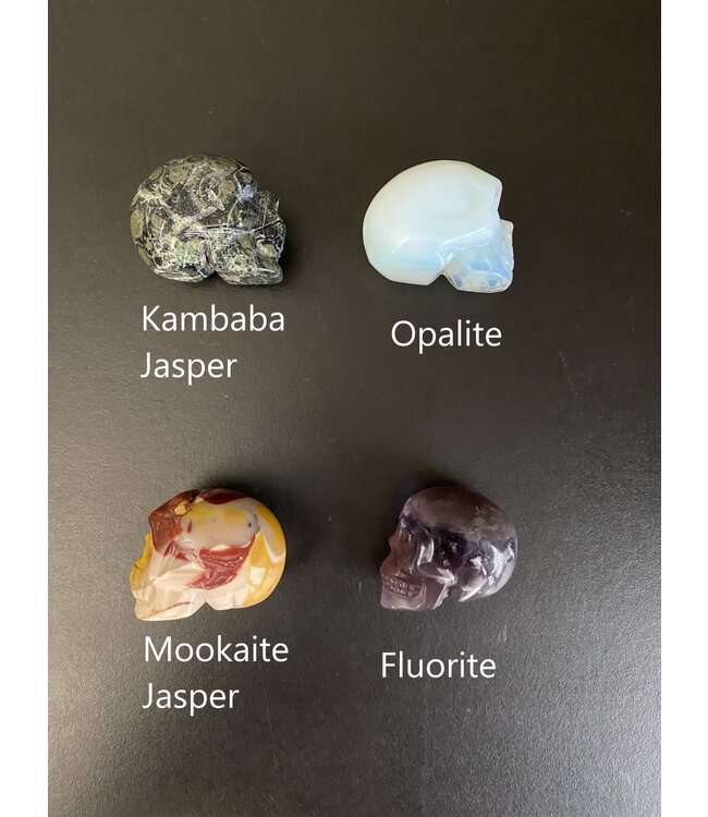 2" Skull Carving, 32 Types