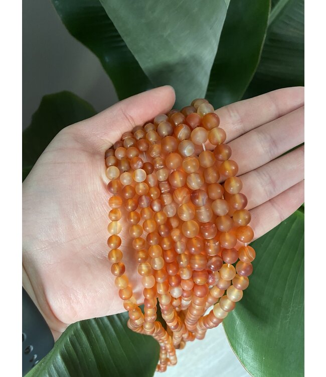 Carnelian Beads Frosted/Matte 15" Strand 6mm 8mm