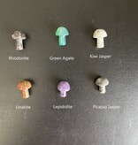 Mini Mushroom Carvings, 40 Types