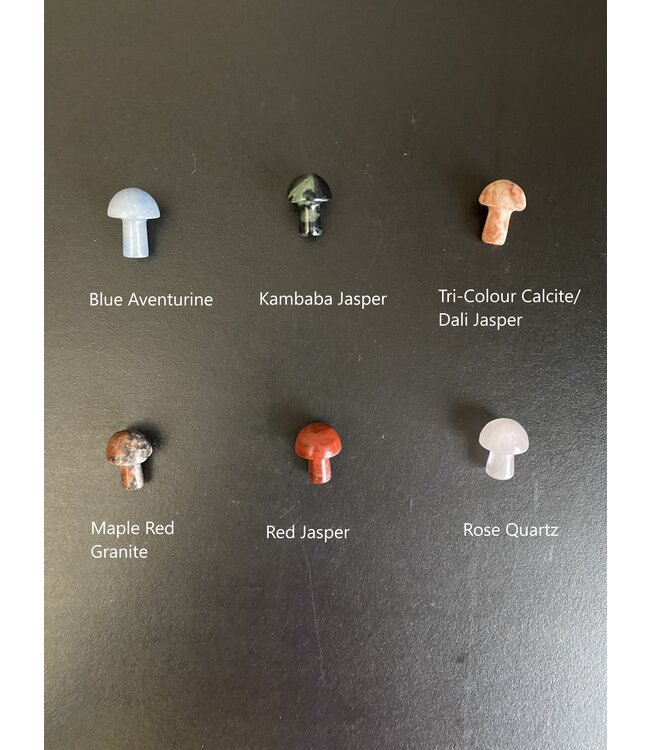 Mini Mushroom Carvings, 40 Types