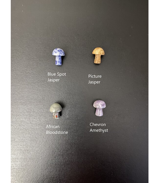 Mini Mushroom Carvings, 40 Types