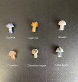 Mini Mushroom Carvings, 40 Types