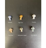Mini Mushroom Carvings, 45 Types