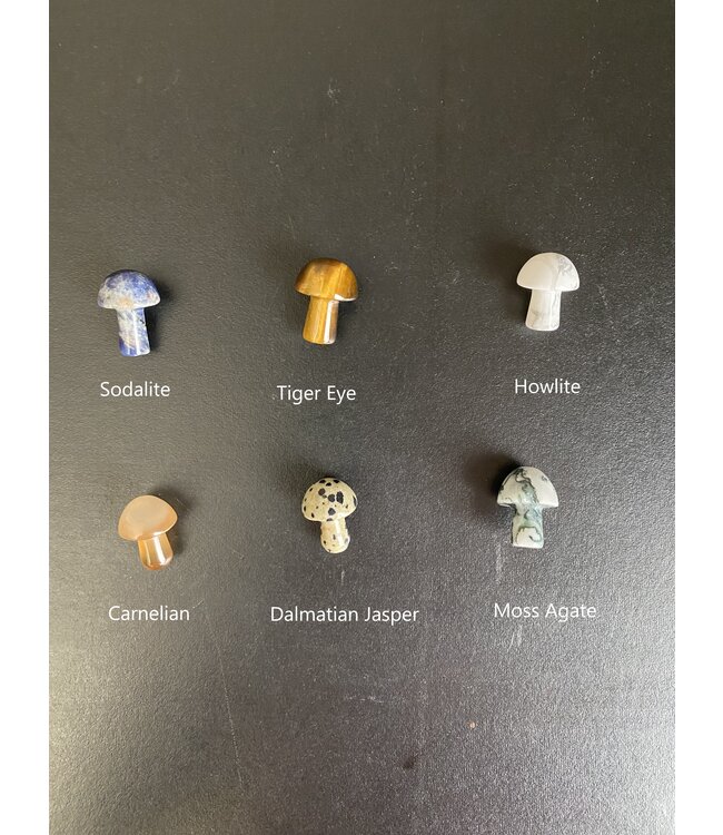 Mini Mushroom Carvings, 40 Types