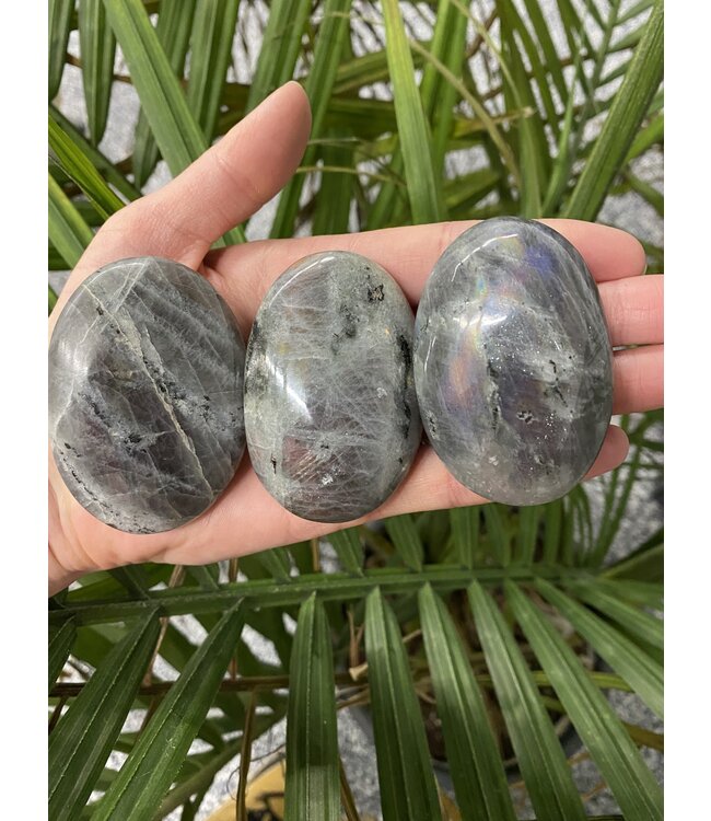 Labradorite Palm Stone, Size Small [75-99gr]